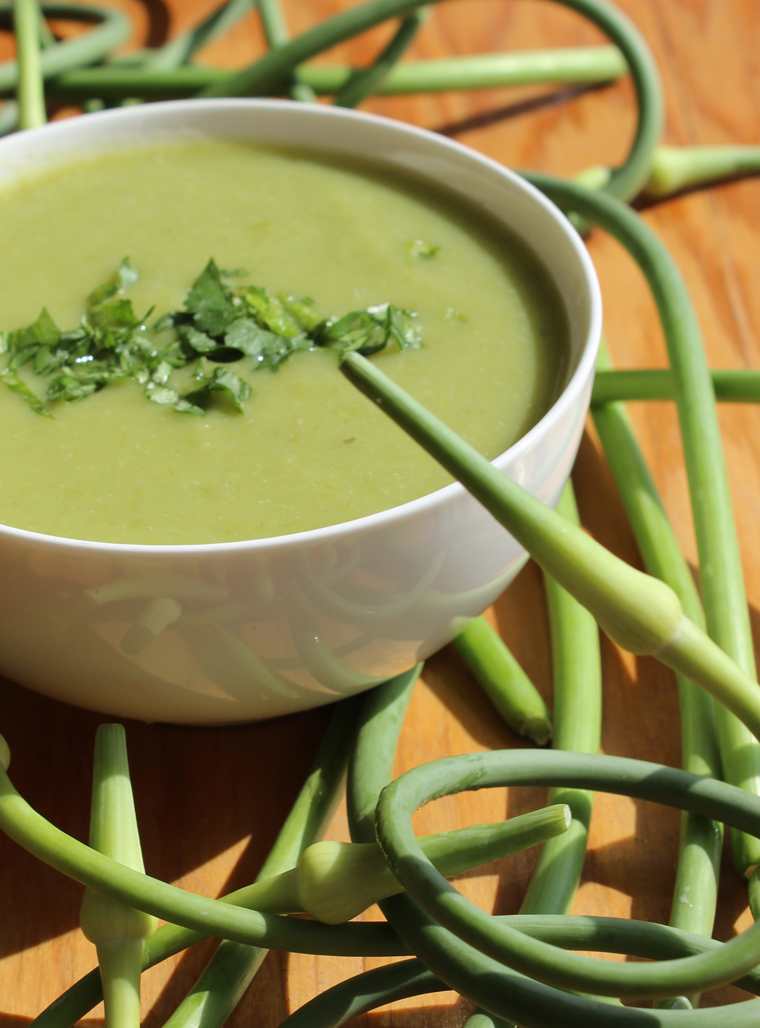 Recipe - Garlic scape soup - Recipes with fermented garlic scapes, garlic scapes and organic garlic – Le Petit Mas organic garlic and garlic scape farm in Quebec (Canada) 