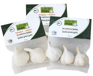 Ail du Québec Biologique - Format 115 gramme - IGA - Metro Ail certifié biologique du Québec (Canada). Le Petit Mas, producteur d'ail du Québec,  produit de l'ail en Estrie (Québec) certifié biologique depuis 1989.